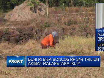 Bencana Iklim Bikin Rugi Rp 544 Triliun,RI Harus Gimana?