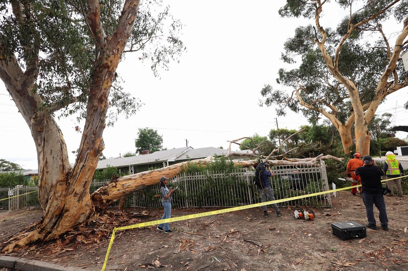 Suasan pasca amukan Badai Hilary di California Selatan, Amerika Serikat, Senin (21/8/2023). (REUTERS/Bryan Woolston
) Suasan pasca amukan Badai Hilary di California Selatan, Amerika Serikat, Senin (21/8/2023). (REUTERS/Bryan Woolston
)