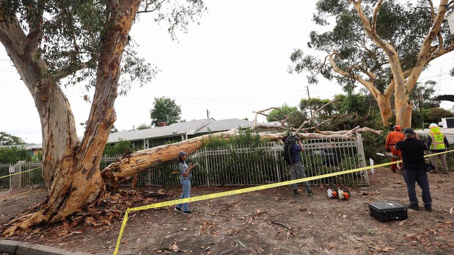 Suasan pasca amukan Badai Hilary di California Selatan, Amerika Serikat, Senin (21/8/2023).  (REUTERS/Bryan Woolston )