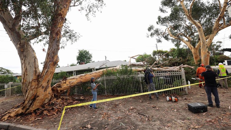 Suasan pasca amukan Badai Hilary di California Selatan, Amerika Serikat, Senin (21/8/2023).  (REUTERS/Bryan Woolston )