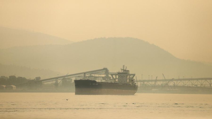 Suasana pusat kota yang diselimuti kabut asap kebakaran hutan, di Stanley Park di Vancouver, British Columbia, Kanada, Senin (21/8/2023). (REUTERS/Chris Helgren)