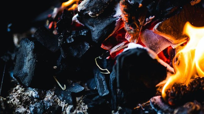 Trump Pakai Batu Bara Untuk Operasi Militer, Harga Langsung Terbang?