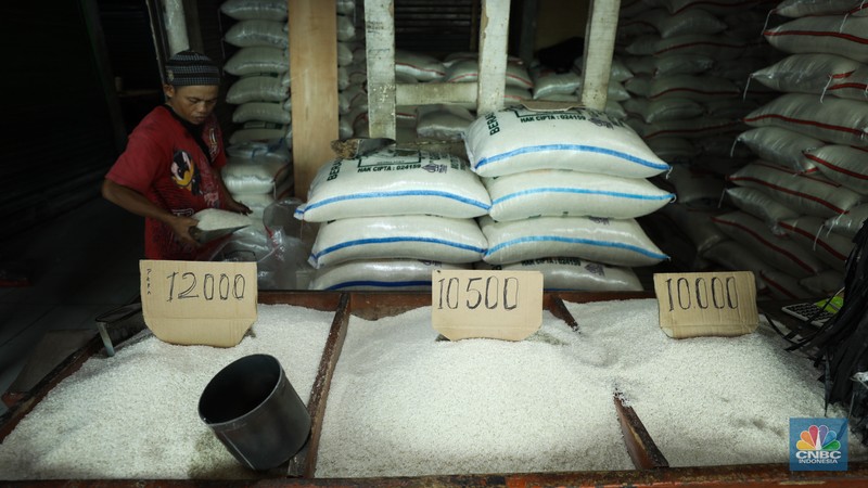 Penjual melayani pembeli beras di pasar Pal Merah, Jakarta, Rabu (23/8/2023). Harga beras terpantau naik hari ini dan kembali cetak rekor tertinggi. (CNBC Indonesia/Tri Susilo)