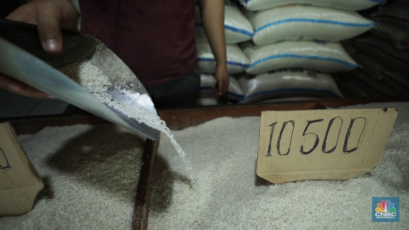Penjual melayani pembeli beras di pasar Pal Merah, Jakarta, Rabu (23/8/2023). Harga beras terpantau naik hari ini dan kembali cetak rekor tertinggi. (CNBC Indonesia/Tri Susilo)
