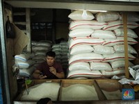 Harga Beras Bergerak Liar, Sudah Bikin Resah Pedagang