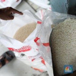 Harga Beras Ugal-ugalan, Hari Ini Rekor Baru Nyaris Rp12.300