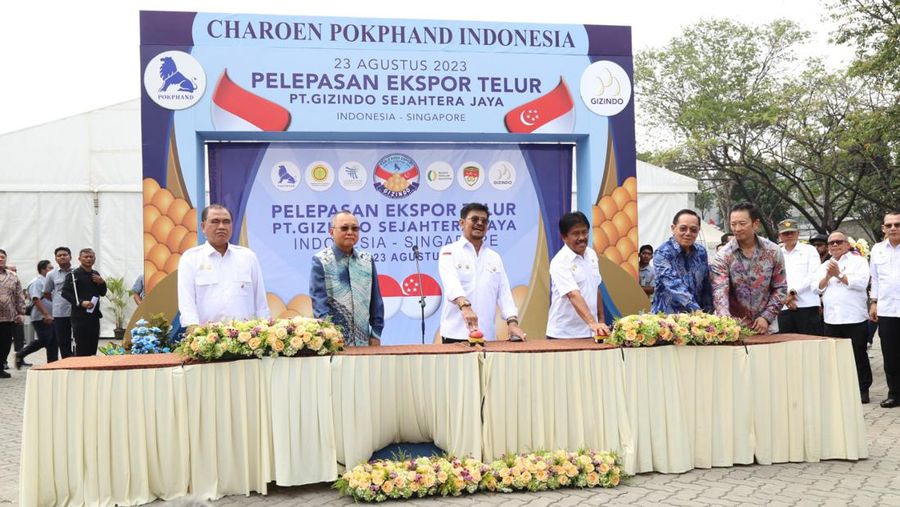 PT Charoen Pokphand Indonesia Tbk. (CPIN) melalui anak usaha PT Gizindo Sejahtera Jaya mengekspor telur konsumsi (Table Eggs) ke Singapura - Dok CPIN