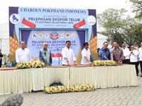 Mantap! CPIN Ekspor Setengah Juta Telur ke Singapura