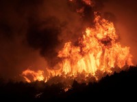 Makin Ngeri! Potret Kebakaran Hutan di Yunani, Langit Membara