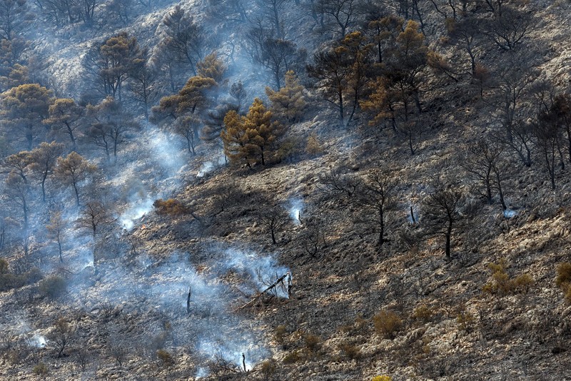 Petugas pemadam kebakaran melihat api yang berkobar di Gunung Parnitha, di Athena, Yunani, 24 Agustus 2023. (REUTERS/Nicolas Economou)