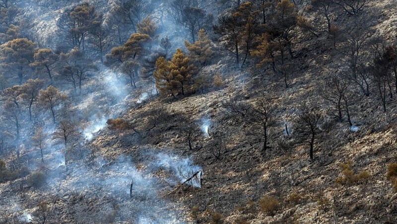 Petugas pemadam kebakaran melihat api yang berkobar di Gunung Parnitha, di Athena, Yunani, 24 Agustus 2023. (REUTERS/Nicolas Economou)