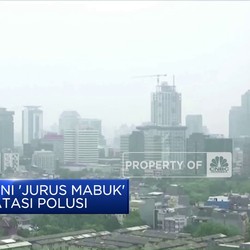 Bak Kungfu, Ini 'Jurus Mabuk' Pemerintah Atasi Polusi