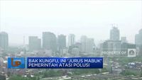 Bak Kungfu, Ini 'Jurus Mabuk' Pemerintah Atasi Polusi