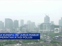 Bak Kungfu, Ini 'Jurus Mabuk' Pemerintah Atasi Polusi