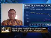 Biang Kerok Harga Batu Bara Ambruk Usai 12 Hari Lari Kencang