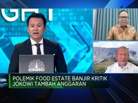 DPR Bisa Tidak Setujui Anggaran Food Estate Jokowi, Kenapa?