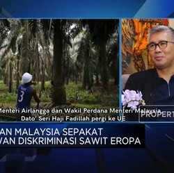 Video: Indonesia Bakal Punya Bursa Sawit, Ini Kata Malaysia