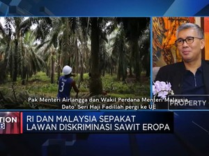 Video: Indonesia Bakal Punya Bursa Sawit, Ini Kata Malaysia