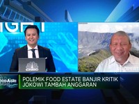 Mentan Era SBY Nilai Program Food Estate Kurang Tepat,Kenapa?