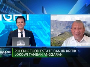 Mentan Era SBY Nilai Program Food Estate Kurang Tepat,Kenapa?