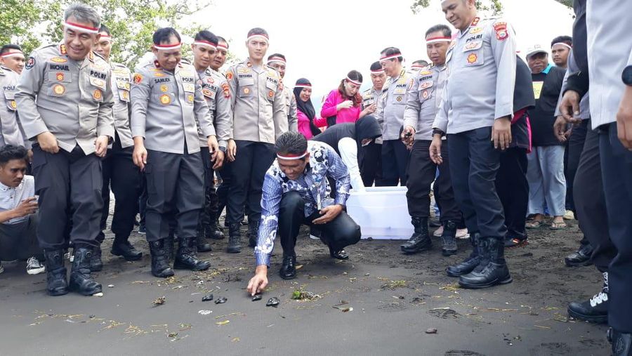 Pelepasan Tukik