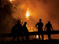 'Neraka Bocor' Makan Korban di Eropa: Hutan Terbakar-Danau Mengering