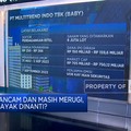Bisnis Terancam & Masih Merugi, IPO BABY Layak Dinanti?