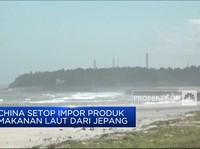 Video: China Setop Impor Produk Makanan Laut Dari Jepang