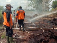 Peringatan Terbaru BMKG: Karhutla Lebih Besar Intai 2 Wilayah RI Ini