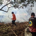 Besok 10 Wilayah RI Ini Sangat Mudah Terbakar, Ini Pesan BMKG