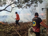 Besok 10 Wilayah RI Ini Sangat Mudah Terbakar, Ini Pesan BMKG