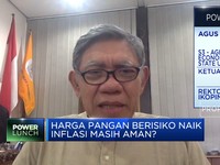 Masalah Petani RI, Lahan Sawah Berkurang & Teknologi Rendah!
