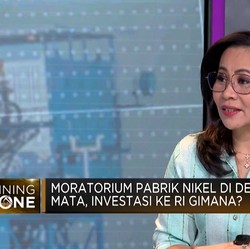 Moratorium Pabrik Nikel di Depan Mata, Ini Kata Pengusaha