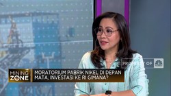 Moratorium Pabrik Nikel di Depan Mata, Ini Kata Pengusaha