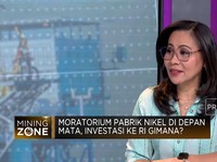 Moratorium Pabrik Nikel di Depan Mata, Ini Kata Pengusaha