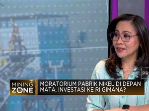 Moratorium Pabrik Nikel di Depan Mata, Ini Kata Pengusaha