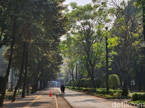 Tentang Hari Bebas Kendaraan Bermotor Sedunia 22 September 2024