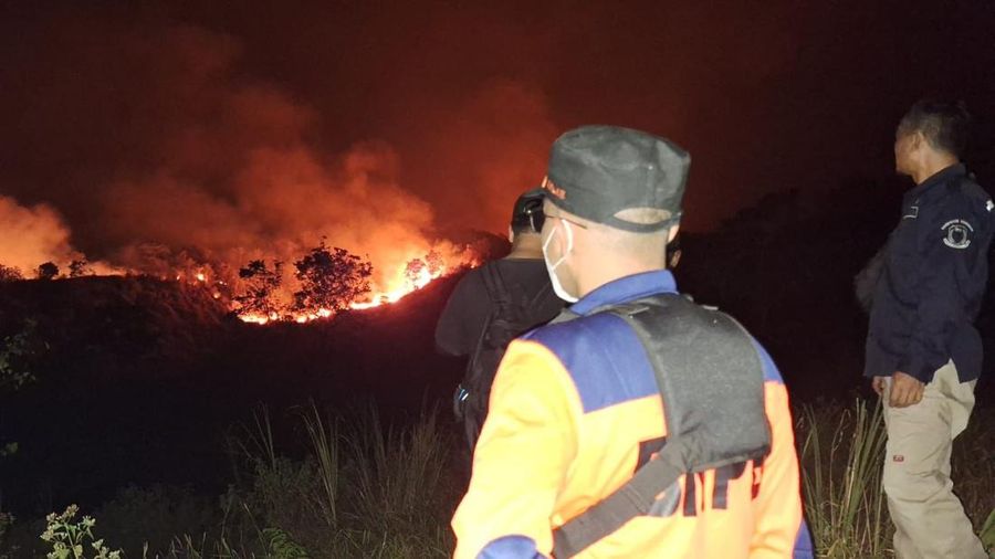 Puaya pemadaman kebakaran hutan di Kalimantan Tengah dan Kalimantan Selatan. (Dok. BNPB)