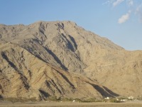 Wilayah di Arab Ini Mirip Norwegia & Punya Wisata Lumba-lumba