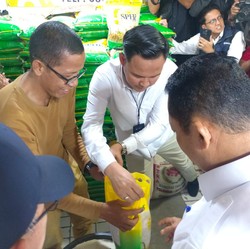 Harga Beras Pecah Rekor, Bos Bulog Mendadak Turun Gunung