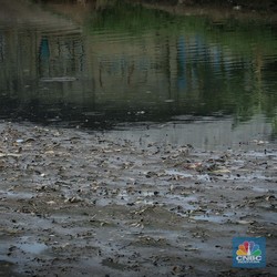 BMKG Ungkap Kapan Puncak Musim Kemarau 2025, Durasinya Lebih Pendek