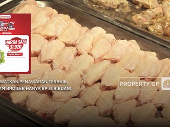 Mau Daging Ayam Super Murah? Nantikan Besok!