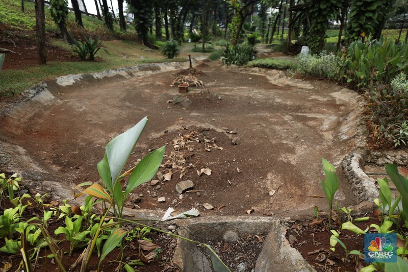 Seorang pekerja membersihkan kolam yang kering di kawasan Taman Meruya Ilir Jakarta, Senin (28/8/2023). Musim kemarau yang berkepanjangan mengakibatkan kolam-kolam di taman Jakarta mengalami kekeringan. Seorang pekerja membersihkan kolam yang kering di kawasan Taman Meruya Ilir Jakarta, Senin (28/8/2023). Musim kemarau yang berkepanjangan mengakibatkan kolam-kolam di taman Jakarta mengalami kekeringan. (CNBC Indonesia/Tri Susilo)