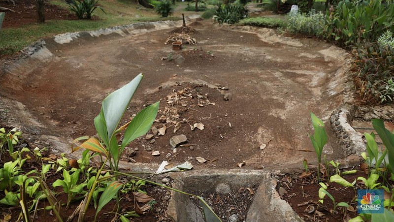 Seorang pekerja membersihkan kolam yang kering di kawasan Taman Meruya Ilir Jakarta, Senin (28/8/2023). Musim kemarau yang berkepanjangan mengakibatkan kolam-kolam di taman Jakarta mengalami kekeringan. (CNBC Indonesia/Tri Susilo)