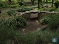 Ada Fenomena Kolam-Kolam Taman di Jakarta Mengering