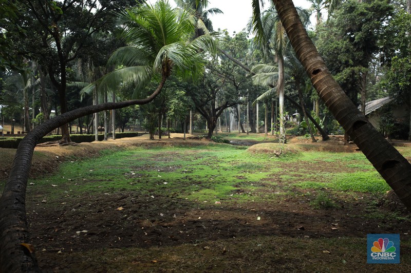 Seorang pekerja membersihkan kolam yang kering di kawasan Taman Meruya Ilir Jakarta, Senin (28/8/2023). Musim kemarau yang berkepanjangan mengakibatkan kolam-kolam di taman Jakarta mengalami kekeringan. Seorang pekerja membersihkan kolam yang kering di kawasan Taman Meruya Ilir Jakarta, Senin (28/8/2023). Musim kemarau yang berkepanjangan mengakibatkan kolam-kolam di taman Jakarta mengalami kekeringan. (CNBC Indonesia/Tri Susilo)