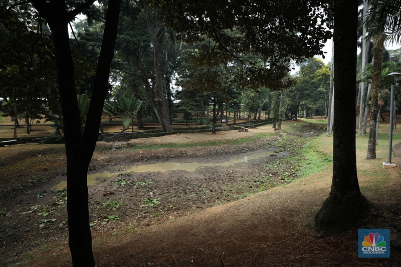 Seorang pekerja membersihkan kolam yang kering di kawasan Taman Meruya Ilir Jakarta, Senin (28/8/2023). Musim kemarau yang berkepanjangan mengakibatkan kolam-kolam di taman Jakarta mengalami kekeringan. Seorang pekerja membersihkan kolam yang kering di kawasan Taman Meruya Ilir Jakarta, Senin (28/8/2023). Musim kemarau yang berkepanjangan mengakibatkan kolam-kolam di taman Jakarta mengalami kekeringan. (CNBC Indonesia/Tri Susilo)