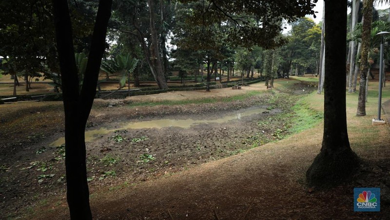 Seorang pekerja membersihkan kolam yang kering di kawasan Taman Meruya Ilir Jakarta, Senin (28/8/2023). Musim kemarau yang berkepanjangan mengakibatkan kolam-kolam di taman Jakarta mengalami kekeringan. (CNBC Indonesia/Tri Susilo)