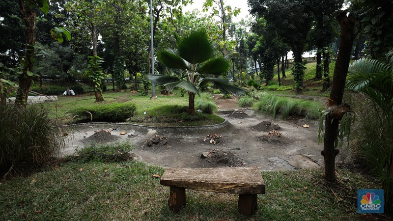 Seorang pekerja membersihkan kolam yang kering di kawasan Taman Meruya Ilir Jakarta, Senin (28/8/2023). Musim kemarau yang berkepanjangan mengakibatkan kolam-kolam di taman Jakarta mengalami kekeringan. Seorang pekerja membersihkan kolam yang kering di kawasan Taman Meruya Ilir Jakarta, Senin (28/8/2023). Musim kemarau yang berkepanjangan mengakibatkan kolam-kolam di taman Jakarta mengalami kekeringan. (CNBC Indonesia/Tri Susilo)