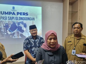 Puluhan Sapi di Pasuruan Mati Terjangkit PMK, Bagaimana Surabaya?